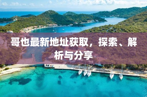 哥也最新地址获取，探索、解析与分享