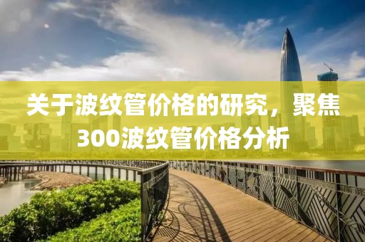 关于波纹管价格的研究，聚焦300波纹管价格分析