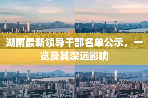 湖南最新领导干部名单公示，一览及其深远影响