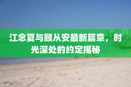 江念夏与顾从安最新篇章，时光深处的约定揭秘