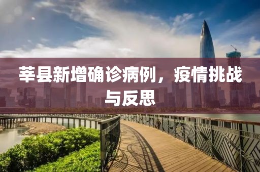 莘县新增确诊病例，疫情挑战与反思