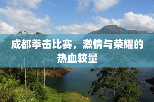 成都拳击比赛，激情与荣耀的热血较量