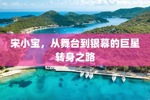 宋小宝，从舞台到银幕的巨星转身之路
