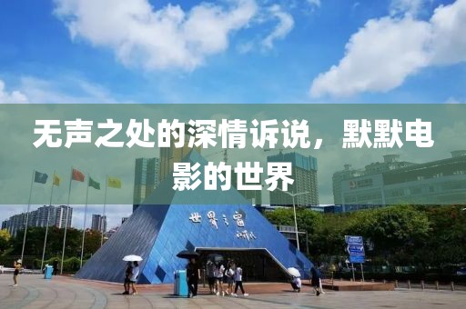 无声之处的深情诉说，默默电影的世界