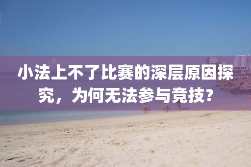小法上不了比赛的深层原因探究，为何无法参与竞技？
