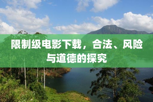 限制级电影下载，合法、风险与道德的探究