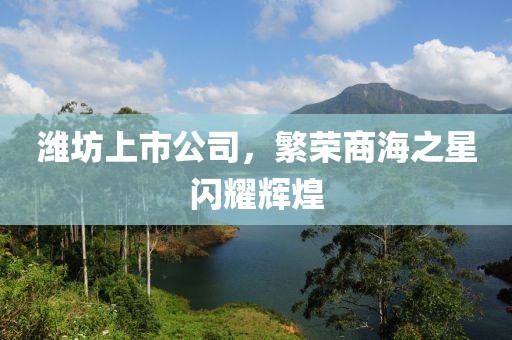 潍坊上市公司，繁荣商海之星闪耀辉煌