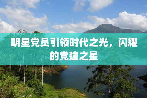 明星党员引领时代之光，闪耀的党建之星