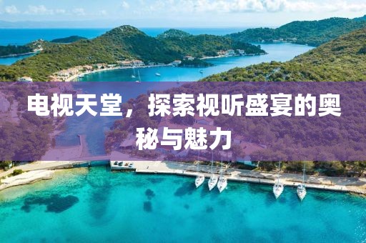 电视天堂，探索视听盛宴的奥秘与魅力