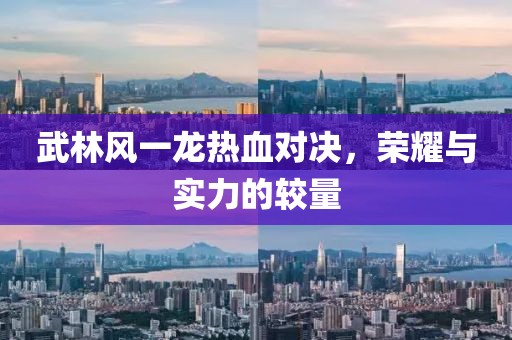 武林风一龙热血对决，荣耀与实力的较量