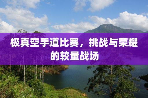 极真空手道比赛，挑战与荣耀的较量战场