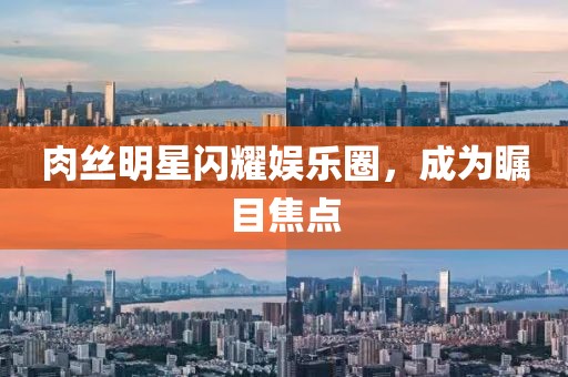 肉丝明星闪耀娱乐圈，成为瞩目焦点