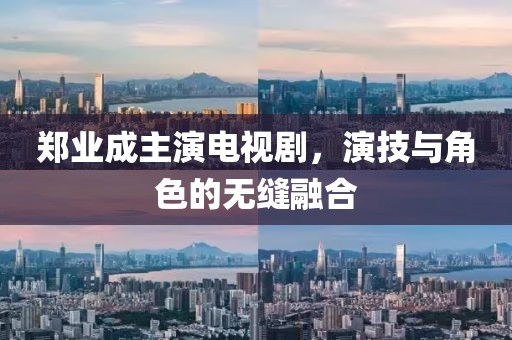 郑业成主演电视剧，演技与角色的无缝融合