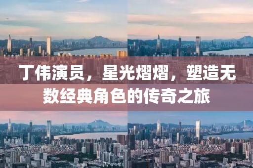 丁伟演员，星光熠熠，塑造无数经典角色的传奇之旅