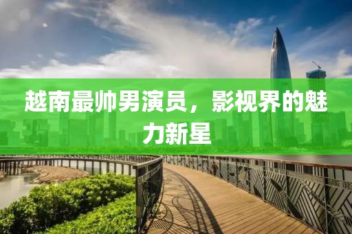 越南最帅男演员，影视界的魅力新星