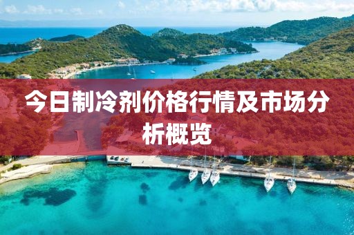 今日制冷剂价格行情及市场分析概览