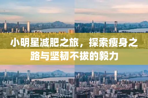 小明星减肥之旅，探索瘦身之路与坚韧不拔的毅力