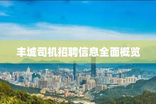 丰城司机招聘信息全面概览