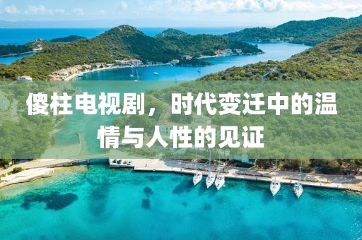 傻柱电视剧，时代变迁中的温情与人性的见证