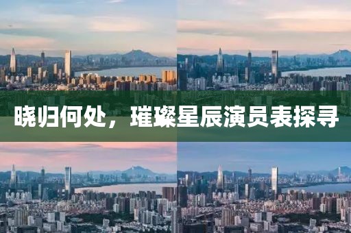 晓归何处，璀璨星辰演员表探寻