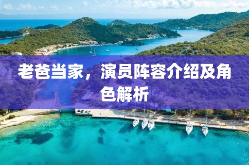 老爸当家，演员阵容介绍及角色解析