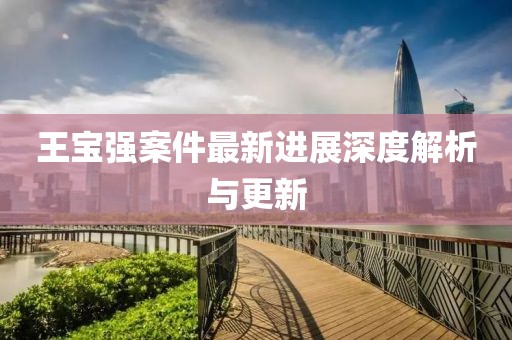 王宝强案件最新进展深度解析与更新