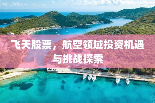 飞天股票，航空领域投资机遇与挑战探索