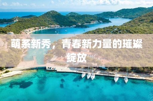 萌系新秀，青春新力量的璀璨绽放