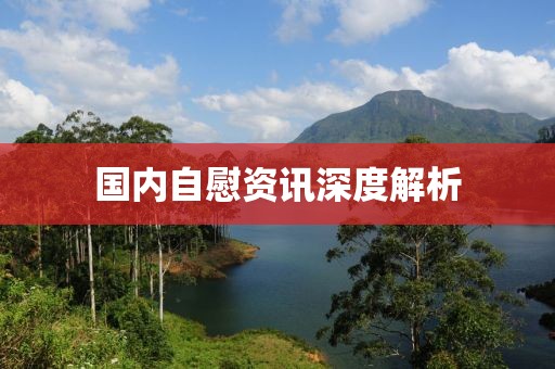 国内自慰资讯深度解析