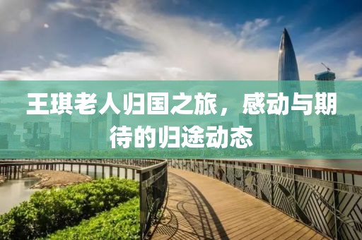 王琪老人归国之旅，感动与期待的归途动态