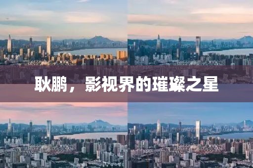 耿鹏，影视界的璀璨之星