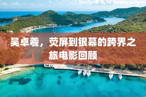 吴卓羲，荧屏到银幕的跨界之旅电影回顾