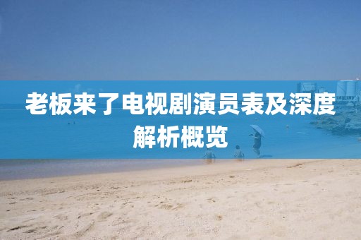 老板来了电视剧演员表及深度解析概览
