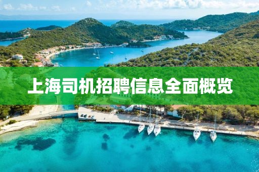 上海司机招聘信息全面概览