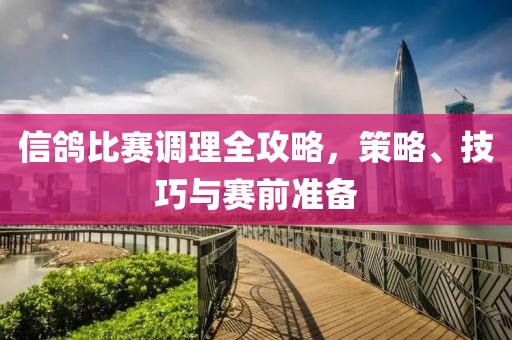 信鸽比赛调理全攻略，策略、技巧与赛前准备