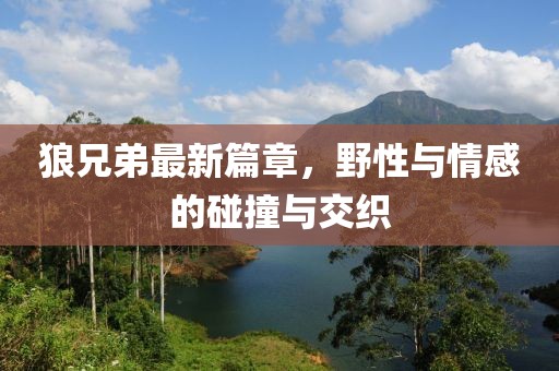 狼兄弟最新篇章，野性与情感的碰撞与交织