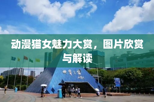 动漫猫女魅力大赏，图片欣赏与解读