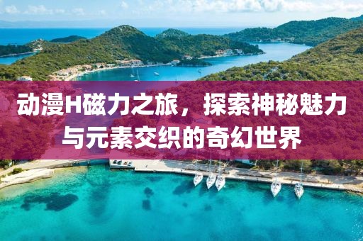 动漫H磁力之旅，探索神秘魅力与元素交织的奇幻世界