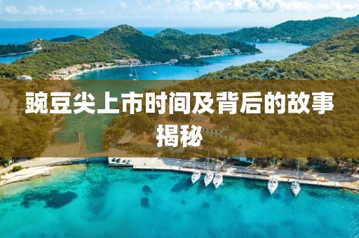 豌豆尖上市时间及背后的故事揭秘
