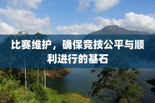 比赛维护，确保竞技公平与顺利进行的基石