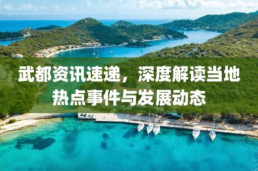 武都资讯速递，深度解读当地热点事件与发展动态