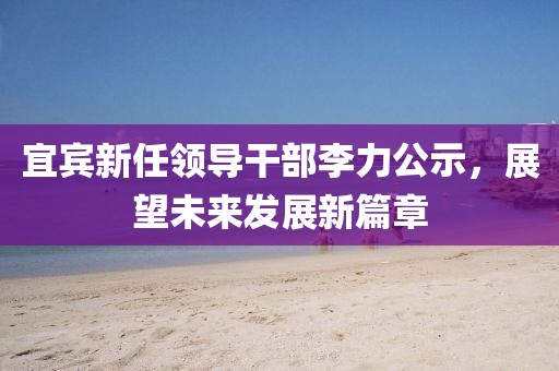 宜宾新任领导干部李力公示，展望未来发展新篇章