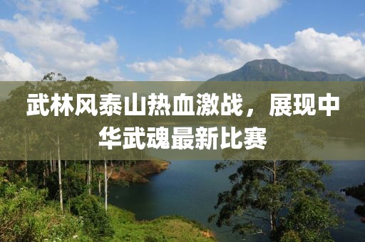 武林风泰山热血激战，展现中华武魂最新比赛