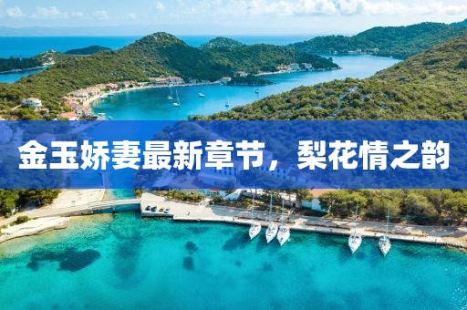 金玉娇妻最新章节，梨花情之韵