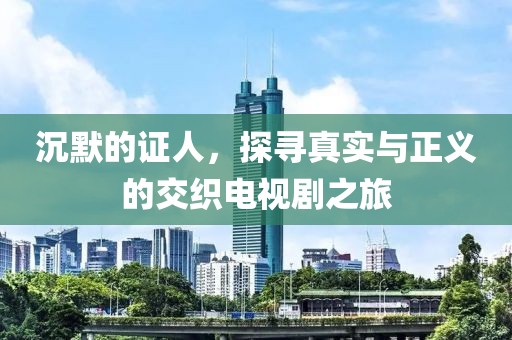 沉默的证人，探寻真实与正义的交织电视剧之旅