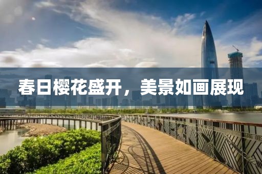 春日樱花盛开，美景如画展现