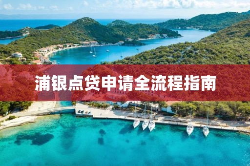 浦银点贷申请全流程指南