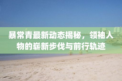 暴常青最新动态揭秘，领袖人物的崭新步伐与前行轨迹