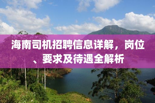 海南司机招聘信息详解，岗位、要求及待遇全解析