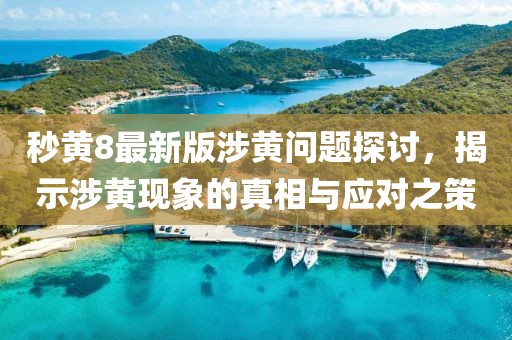 秒黄8最新版涉黄问题探讨，揭示涉黄现象的真相与应对之策